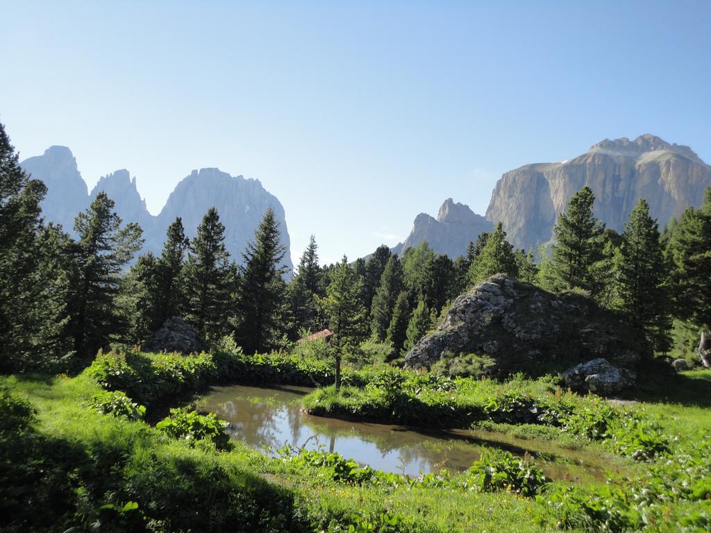 Sella Ronda Apartment Campitello di Fassa Εξωτερικό φωτογραφία