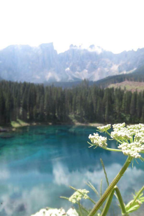 Sella Ronda Apartment Campitello di Fassa Εξωτερικό φωτογραφία